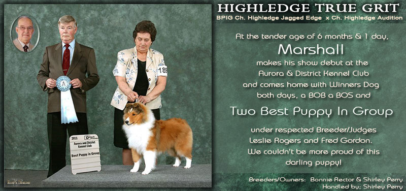 Highledge