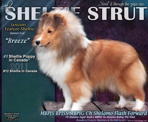 shelamo