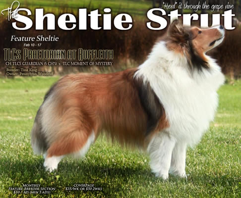 rufflieth