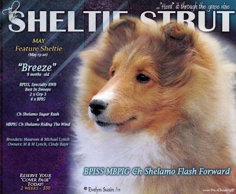 breeze