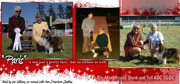 Harriann Shelties