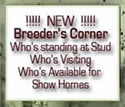 Breeder's Corner